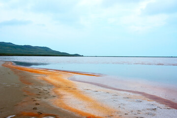 Opuksky Reserve. Salty Pink Lake - Koyashskoye Lake, Crimea, Russia