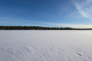 Fototapeta na wymiar frozen lake with green forest and blue sky, incredible finnish lapland winter landscape