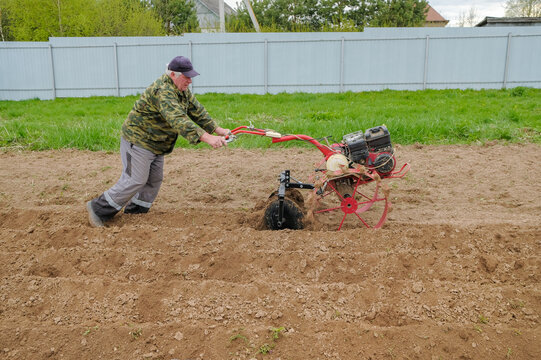 A male farmer cultivates the soil in the garden using a self-propelled walk-behind tractor. Spring work on the plantation before planting potatoes.