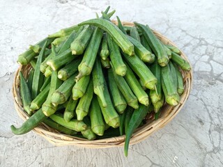 Okra or ladies fingers or bhindi or lady finger in basket green vegetables