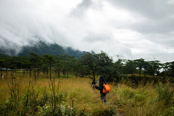 woman are traveling in the rain forest with beautiful nature. Girl go on a journey through the forest.