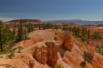scenic view of Bryce Canyon from Queens Garden Trail (Bryce Canyon National Park, Utah, United States)