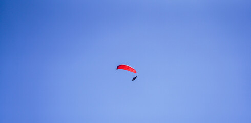 kite in the blue sky