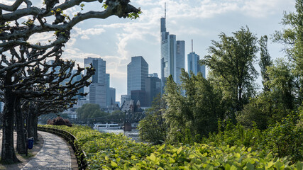 View from the park to the cityscape,to the Commerzbank skyscraper in the center of Frankfurt,Germany - obrazy, fototapety, plakaty