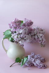 A beautiful bouquet of lilacs in a light jug on a pink background.