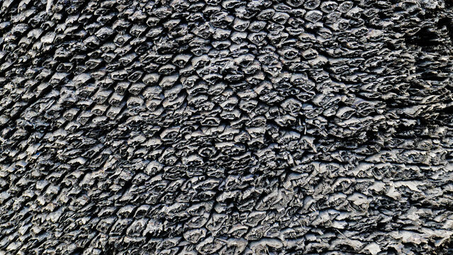 Nature's textured paper.
