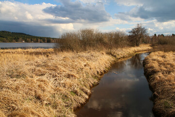 The protected area in Šumava national park in Czech Republic by the pond Olšina with its wooden pathways.
