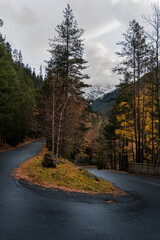 Fototapeta premium Empty wet road through the forest in autumn rainy day