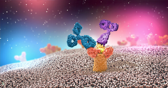 Multicolored antibodies or immunoglobulin protein structures attached to receptor- 3d illustration