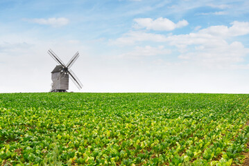 Champ - moulin à vent