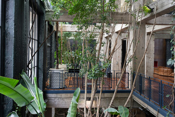 Modern interior of hotel lobby with luxurious winter garden, tropical plants. Plant lovers....