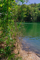 jezioro szmaragdowe, liście, trawy, drzewa