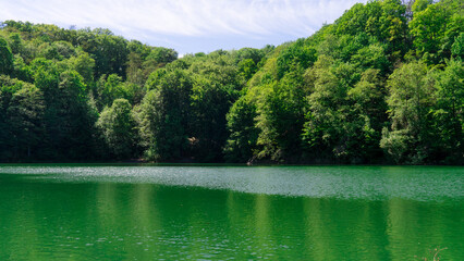 jezioro szmaragdowe, liście, trawy, drzewa