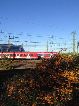 Trains in Cologne