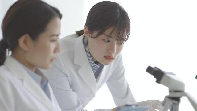 研究をする白衣の女性