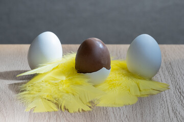 Closeup of chocolate filled authentic eggshells eaten around easter