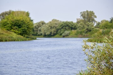 Landscape on the bank of the river with lead water and lush willows at the edge of the bank