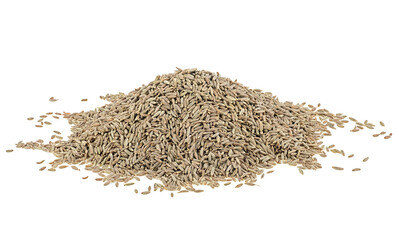 Pile of dry jeera seeds isolated on a white background. Cumin grains.