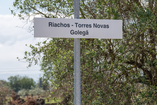 Information white board of the Riachos Railway Station in Torres Novas, Golega with trees