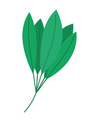 Fototapeta premium leaves on a stem