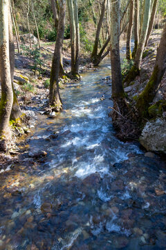 Çınarlıdere Recreation Area In Kocaeli Derince District