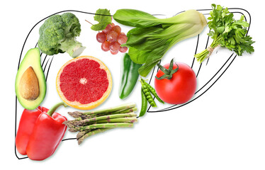 Drawing of liver with healthy fresh vegetables and fruits on white background