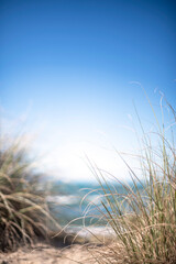 View past beach grasses to ocean and blue skies