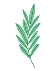 Fototapeta na wymiar green leaves on a stem