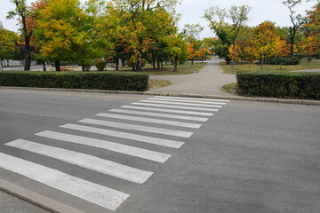 Road with zebra crossing near city park
