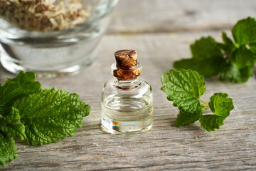 A bottle of melissa essential oil with fresh melissa twigs - obrazy, fototapety, plakaty