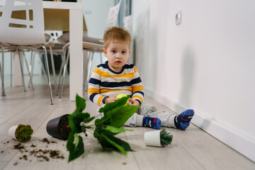 one caucasian boy making mess in the house playing and mischief with bad behavior flower pot...
