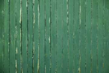 Fototapeta premium Texture of old green wall as background