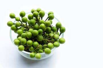 Turkey berry isolated on white background