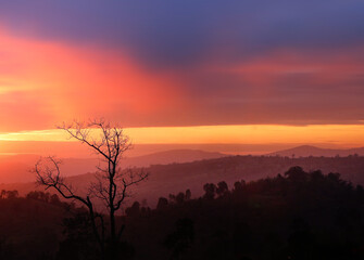 One tree on hill mountain and beautiful and sun orange sky backgroundOne tree on hill mountain and beautiful and Sunset orange sky  background