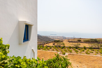 Paros, Greece - August 3, 2021: View over the island in the cyclades Archipelago in the Aegean Sea. A typical White House with blue windows. Olive grove or plantation and the sea in the background - obrazy, fototapety, plakaty