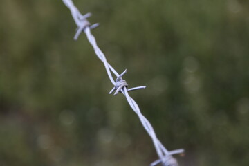 barbed wire, metal wire, spiked chain for fence for security and protection
