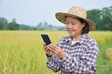 Portrait of asian senior elderly farmer who is holding smart phone and using it to connect to other...