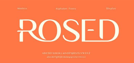 Modern display alphabet letters. Urban classy font magazine typography