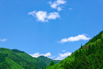 Fototapeta na wymiar 新緑の山々と白い雲に青空