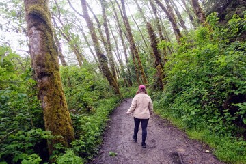 A young woman hiking through fern canyon with walls of ferns, a beautiful site in prairie creek redwoods state park, in California, United States.