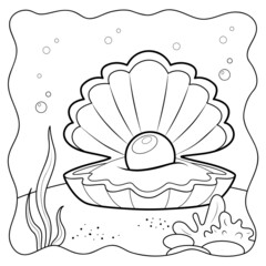Shell black and white. Coloring book or Coloring page for kids. Marine background