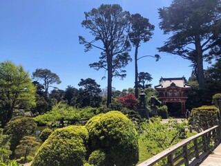 People admiring the beautiful views in Golden Gate Park, including the Japanese Tea Garden, in San...