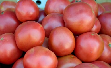 Ripe tomatoes of the new harvest are sold in the bazaar 