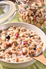 Spoon full of fruit granola and milk  