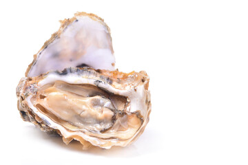 Fresh oyster