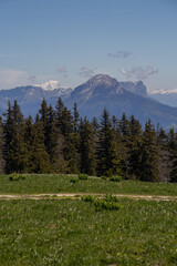 Beautiful green landscape field with mountains in the distance against a blue sky in Vercors