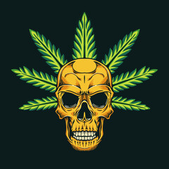 skull with marijuana leaf illustration