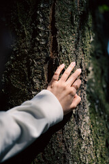 樹木に触れて生命を感じる