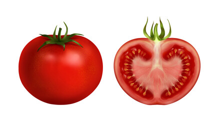 A red tomato is round and cut with a peduncle and leaves, a realistic hand-drawn illustration isolated on a white background, a 3d illustration, a vegetarian vegetable. For printing and design.
