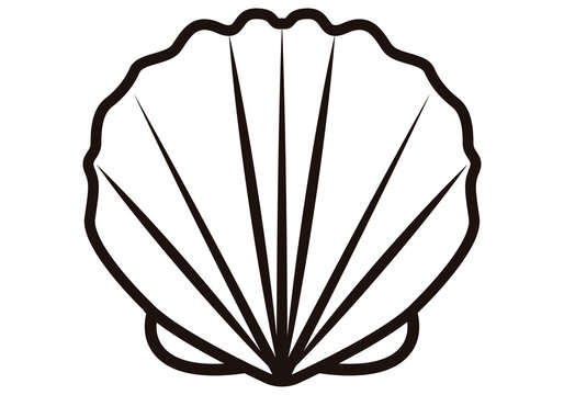 Icono de concha o almeja en fondo blanco.